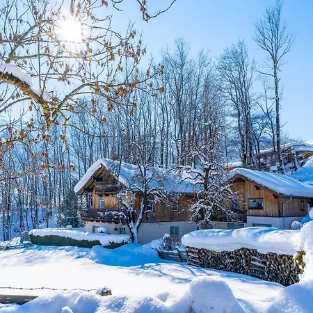 Special In Walchen With Private Terrace