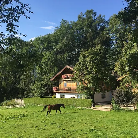 Special In Walchen With Private Terrace Piesendorf