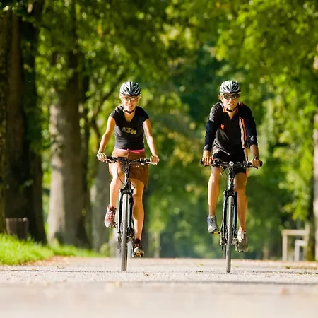 Apartment Special In Walchen With Private Terrace Piesendorf