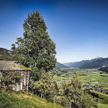 Special In Walchen With Private Terrace